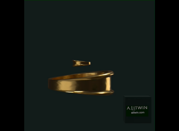 Bangle and Second Digit Ring Set